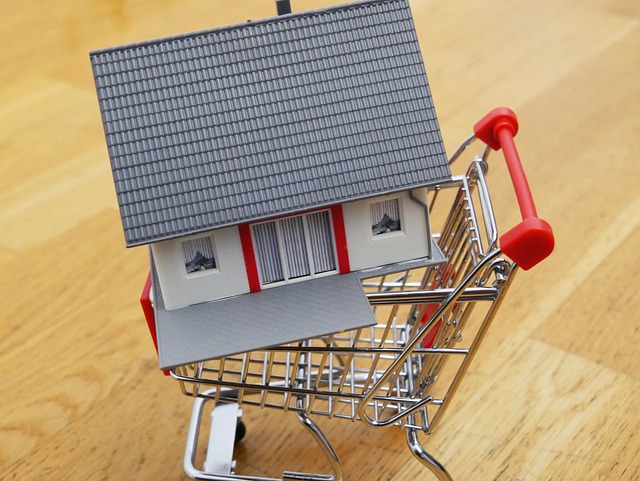 Home Sale Guide - Toy house sitting in a small shopping cart