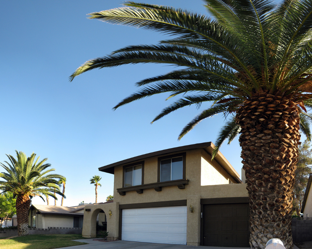 Las Vegas realtors - Home in las vegas with palm trees and a grass lawn